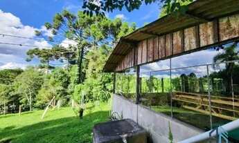 Imagem 5: Chácara documentada com 51.000 mil metros e pronta para morar em São José dos Pinhais PR