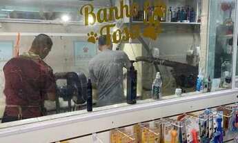 Imagem 3: Vendo pet shop em icarai