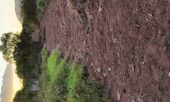 Imagem 5: Terreno para chácara em São José