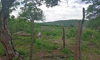 Imagem 3: Terreno para chácara