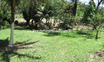 Imagem 3: Sítio em Agro-Brasil com excelente localização