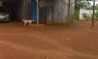 Imagem 4: Vendo uma chacara 30X50