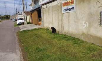 Imagem 3: Aluga-se casa no Rio Bonito