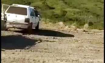 Imagem 3: Chácara no DF Chácara com venda por R$180.000