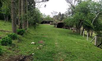 Imagem: Sítio, Ribeirão Branco