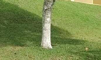 Imagem: Casa com terreno de 700 m2 em Jardim Morada