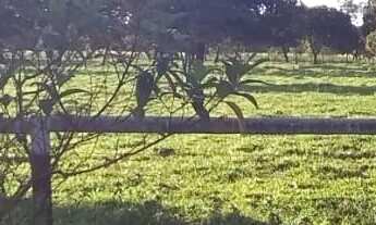 Imagem 3: Fazenda Amorinopolis 7 Alqueires Chácara à Venda, 338000.00 por R$ 1450000.00 AD7874