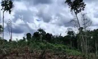 Imagem 2: Vendo terreno medindo 20x100