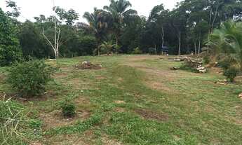 Imagem 6: VENDE-SE SÍTIO NA CARLOS BRAGA