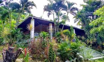 Imagem: Sítio à venda com 28 mil m² - Coqueiros