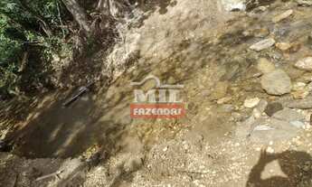 Imagem 4: Fazenda 26 alqueires (125,84 hectares ) Goianésia - Go