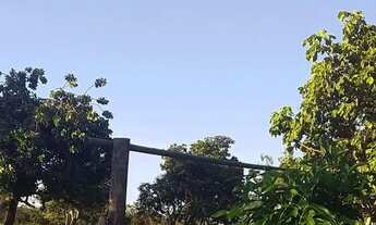 Imagem 4: Fazenda Amorinopolis 7 Alqueires Chácara à Venda, 338000.00 por R$ 1450000.00 AD7874