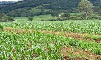 Imagem 6: TERRENO 2HC SERRA AZUL IGARAPÉ/MATEUS LEME