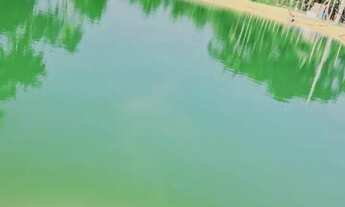 Imagem 4: Venda sítio Chácara com venda por R$500.000