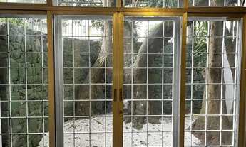 Imagem 7: Casa comercial em Moema índios