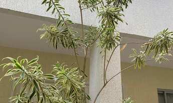 Imagem 6: Kitnet Kitnet com 1 dormitório