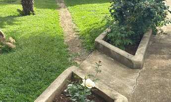 Imagem 2: Casa pra alugar no joa