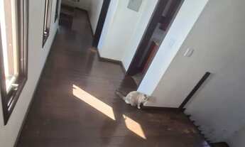 Imagem 6: Esta sólida casa padrão, situada em Sapucaia do Sul, bairro Vargas, está disponível tanto