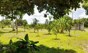 Imagem 6: Sítio Completo no Sapé - Escriturado e Todo Murado!