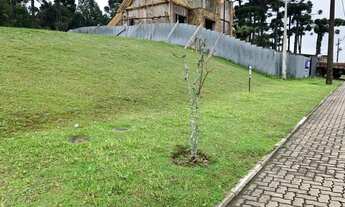 Imagem 4: Terreno - Bairro Centro