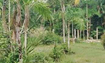 Imagem 4: Terreno belíssimo em Presidente Figueiredo