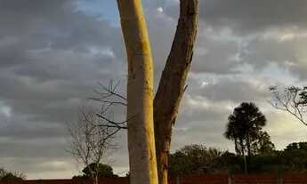 Imagem: Terreno condomínio Brisas da Chapada