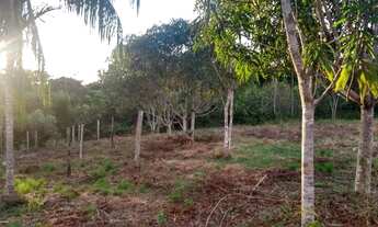 Imagem 4: Terreno na am 240 109x3000