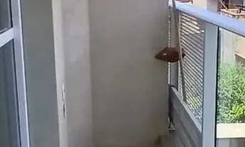 Imagem 2: Sala para locação, Centro, Osasco, SP