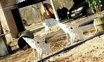 Imagem 7: Excelente chácara