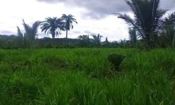 Imagem 5: Sitio c/ 100he (Escriturado), Terra de Cultura, Agrovila da Palmeiras-MT