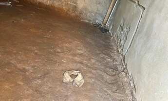 Imagem 2: TERRENO À VENDA - RIACHO GRANDE