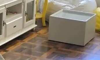 Imagem: Alugo apartamento 2 quartos mobiliado