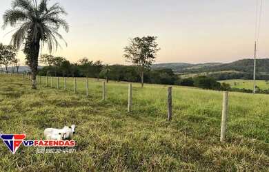 Imagem 5: FAZENDINHA 6 ALQUEIRES MUNICÍPIO DE ARAÇU-GO