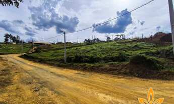 Imagem 2: 86E- TERRENOS COM TODAS AS TOPOGRAFIAS EM IGARATÁ