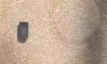 Imagem: Apartamento com 2 quartos para locação