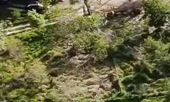 Imagem: Terreno ao pé da Montanha Oratório