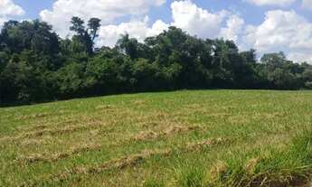 Imagem 2: Oportunidade no Interior de SP: Terrenos de 1.000 m² em Mairinque