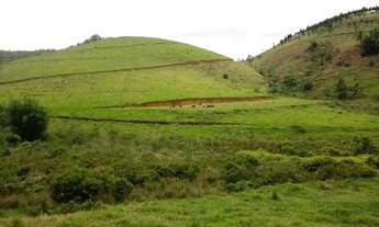 Imagem 5: 50 hectares - ideal para Agricultura, Pecuária. Oportunidade!