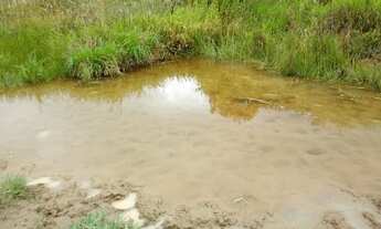 Imagem 2: 50 hectares - ideal para Agricultura, Pecuária. Oportunidade!