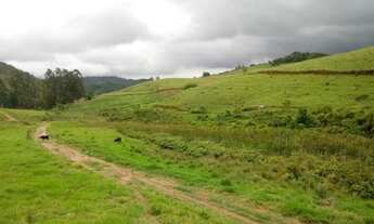 Imagem 3: 50 hectares - ideal para Agricultura, Pecuária. Oportunidade!