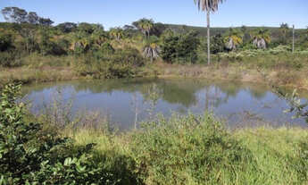 Imagem 2: Linda fazendinha de 30 mil metros, Serra do Cipo (Temos varias opções