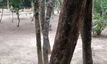 Imagem 6: Chácara de 1.250 m2 em Cesário Lange, com excelente casa