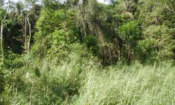 Imagem 6: Terreno para Venda em Pântano do Sul Florianópolis-SC - 190T