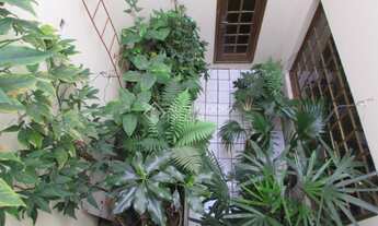 Imagem 7: PORTO ALEGRE - Casa Padrão - Nonoai