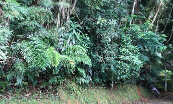 Imagem 4: OPORTUNIDADE Lote/Terreno á venda com 1000 metros quadrados em Prumirim com vista para o m