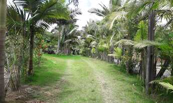 Imagem 7: GARUVA - Chácara - CENTRO