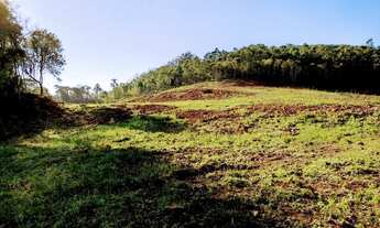 Imagem 3: Área à venda, 140000 m² - Vila Germania - Nova Petrópolis/RS
