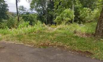 Imagem: MORRO REUTER - Terreno Padrão - Birckenthal