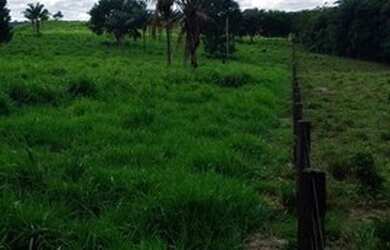Imagem 7: Fazenda 210 alqueires Entre Espigão D' Oeste e Pimenta Bueno