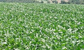 Imagem 3: Angatuba - RURAL - Zonal Rural